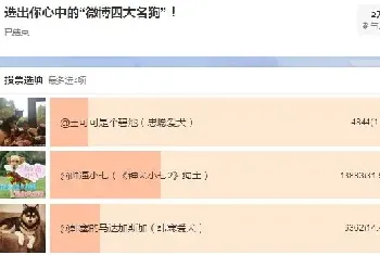 《神犬小七2》当选微博四大名狗之首