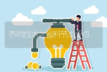 养鸡技术之省料节本要点