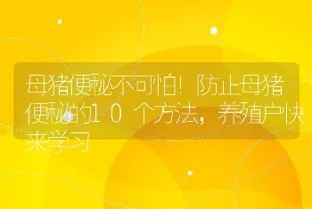 母猪便秘不可怕！防止母猪便秘的10个方法，养殖户快来学习