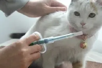 猫咪疫苗 妙三多和英特威到底哪个好？