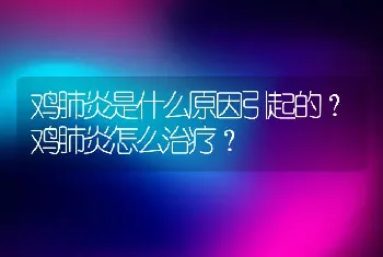 鸡肺炎是什么原因引起的？鸡肺炎怎么治疗？