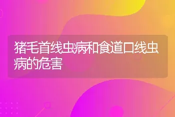 猪毛首线虫病和食道口线虫病的危害