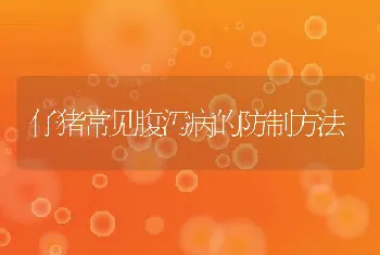 鹧鸪养殖应把握的四要点