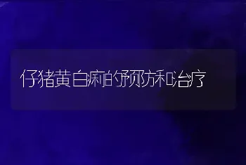 仔猪黄白痢的预防和治疗