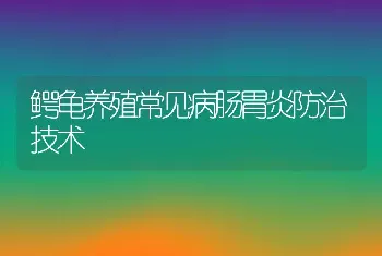 鳄龟养殖常见病肠胃炎防治技术