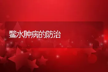 种兔注意杂交提纯