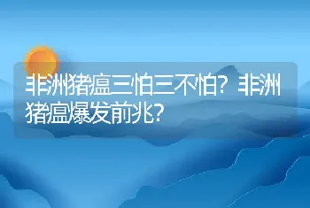 非洲猪瘟三怕三不怕？非洲猪瘟爆发前兆？