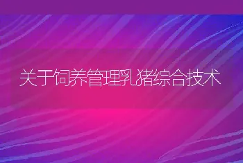 关于饲养管理乳猪综合技术