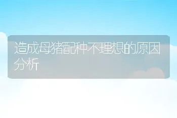 造成母猪配种不理想的原因分析