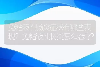 兔粘液性肠炎症状有哪些表现？兔粘液性肠炎怎么治疗？