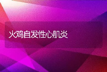 火鸡自发性心肌炎