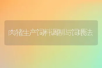 肉猪生产饲料调制与饲喂法