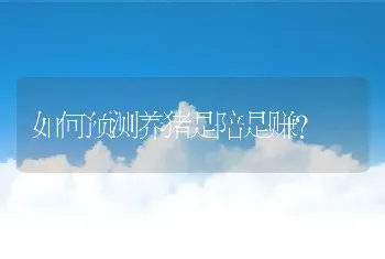 如何预测养猪是陪是赚？