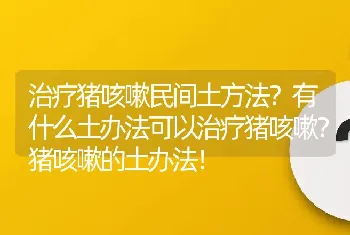 治疗猪咳嗽民间土方法？有什么土办法可以治疗猪咳嗽？猪咳嗽的土办法！