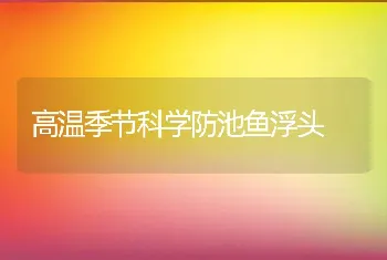 高温季节科学防池鱼浮头