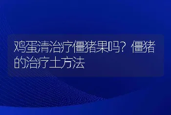 鸡蛋清治疗僵猪果吗？僵猪的治疗土方法