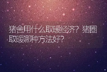 猪舍用什么取暖经济？猪圈取暖哪种方法好？