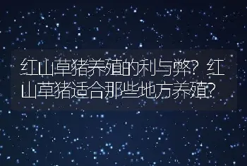 红山草猪养殖的利与弊？红山草猪适合那些地方养殖？