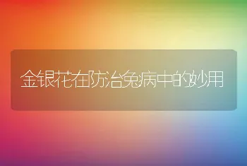 金银花在防治兔病中的妙用