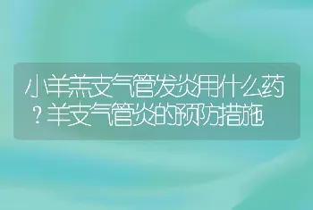 小羊羔支气管发炎用什么药？羊支气管炎的预防措施