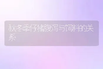 秋冬季仔猪腹泻与饲料的关系