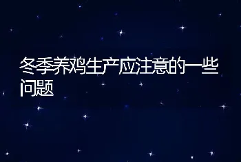 冬季养鸡生产应注意的一些问题