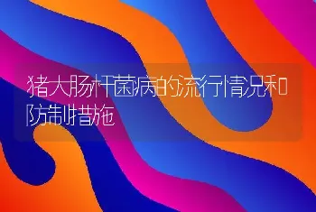 猪大肠杆菌病的流行情况和防制措施