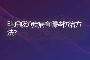 鸭呼吸道疾病有哪些防治方法？