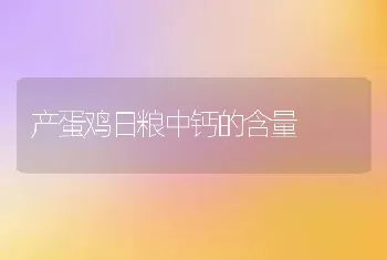 产蛋鸡日粮中钙的含量