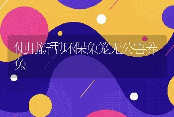 使用新型环保兔笼无公害养兔