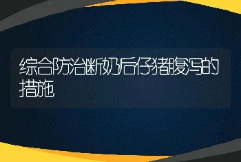 综合防治断奶后仔猪腹泻的措施