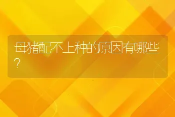 母猪配不上种的原因有哪些？