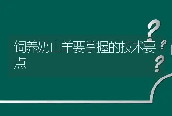 饲养奶山羊要掌握的技术要点