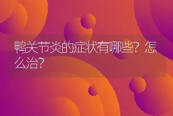 鸭关节炎的症状有哪些？怎么治？