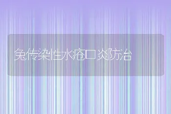 兔传染性水疮口炎防治