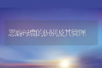 恶癖母鹿的识别及其管理