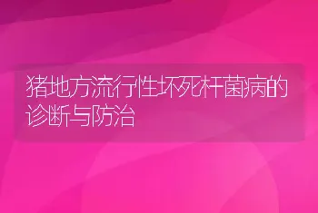 猪地方流行性坏死杆菌病的诊断与防治