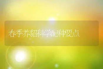 春季养貂科学配种要点