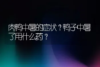 肉鸭中暑的症状？鸭子中暑了用什么药？