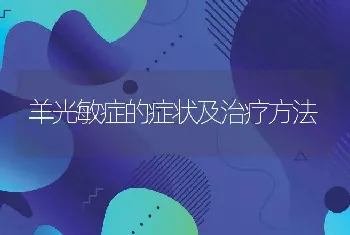 羊光敏症的症状及治疗方法