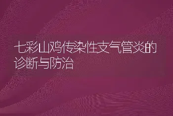 七彩山鸡传染性支气管炎的诊断与防治