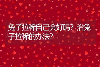 兔子拉稀自己会好吗？治兔子拉稀的办法？