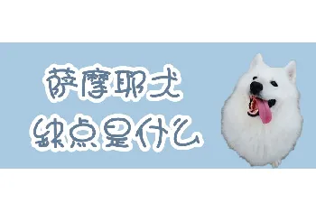 萨摩耶犬缺点是什么