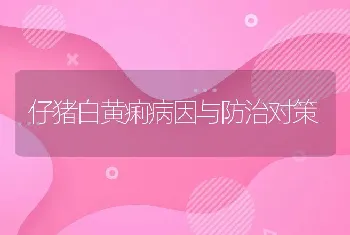 仔猪白黄痢病因与防治对策