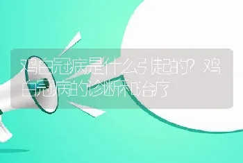 鸡白冠病是什么引起的？鸡白冠病的诊断和治疗