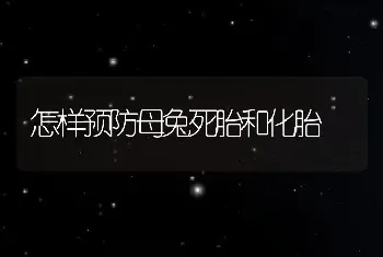 怎样预防母兔死胎和化胎