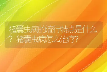 猪囊虫病的流行特点是什么？猪囊虫病怎么治疗？