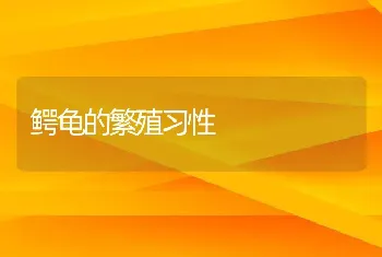 鳄龟的繁殖习性