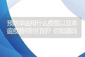 预防羊瘟用什么疫苗以及羊瘟疫苗何时打好？你知道吗