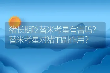 猪长期吃替米考星有害吗？替米考星对猪的副作用？